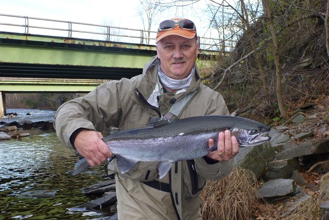 Bob from St. Croix Rods with another Salmon River steelhead.jpeg - Bob from St. Croix Rods with another Salmon River steelhead